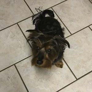 Meet your Posher, Veronica